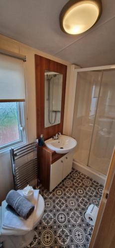 W łazience znajduje się umywalka i prysznic. w obiekcie Bill's Retreat - Lodge & Hot tub w mieście Morpeth