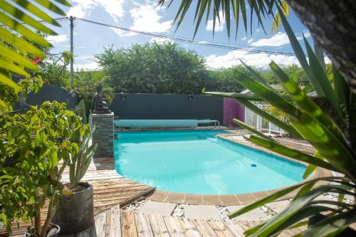 una piscina en un patio trasero con plantas en 1- VACOA - CHAMBRE 1 - Rdc G en La Saline les Bains