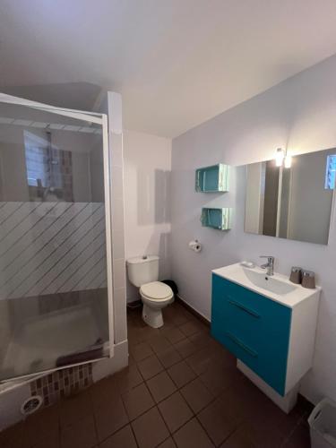 uma casa de banho com um WC, um lavatório e um chuveiro em 1- VACOA - CHAMBRE 1 - Rdc G em La Saline-Les-Bains