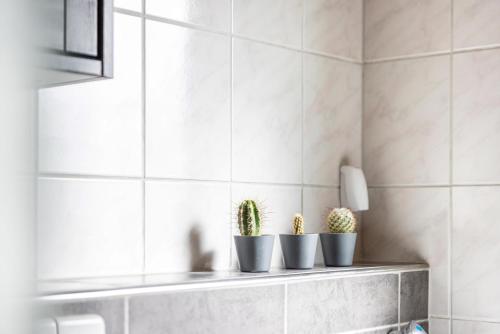three plants sitting on a shelf in a bathroom at Südalb in Albstadt