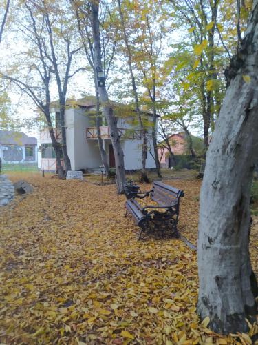 a park bench sitting in a pile of leaves next to a tree at Qusar Qala Hotel in Qusar