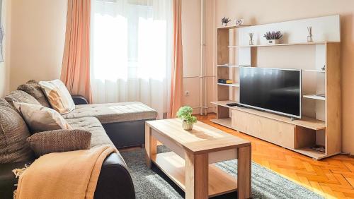 Una sala de estar con un sofá y un televisor. en FilinHome Jaksica Suite, en Novi Sad