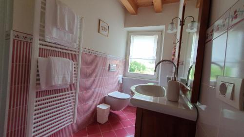 une salle de bains rose avec lavabo et toilettes. dans l'établissement B&B POGGIO CAIAR, à Caprino Veronese
