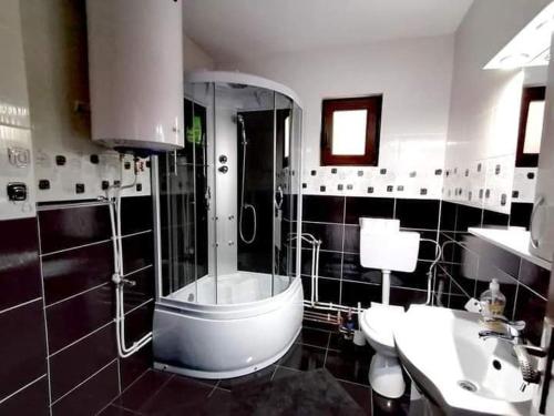 uma casa de banho com um chuveiro, um WC e um lavatório. em Casa Ianis em Arieşeni