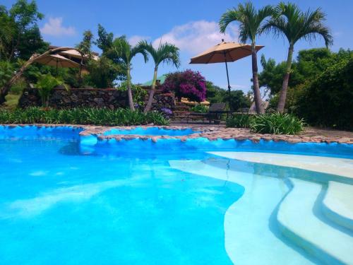 a blue swimming pool with an umbrella and palm trees at Hotel Valle Místico in Tepoztlán