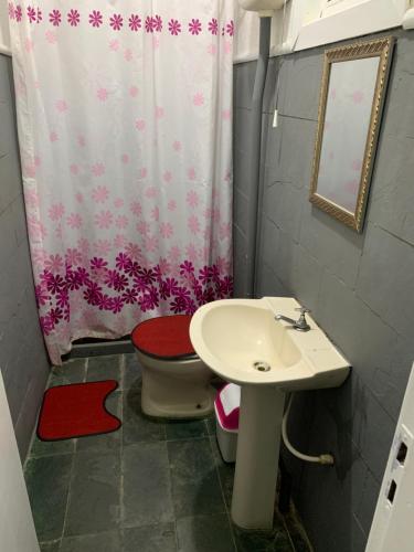 a bathroom with a sink and a toilet and a shower curtain at POUSADA YHWH (Pedro & Neth) in Araruama