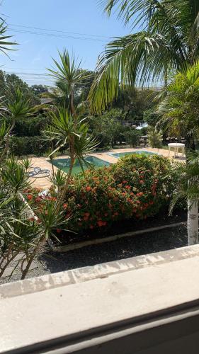 a view of a garden with flowers and palm trees at POUSADA YHWH (Pedro & Neth) in Araruama