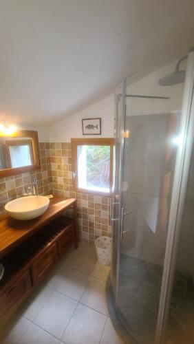 Un baño con ducha de cristal y lavabo. en CABANON SEVERIN, en Canari