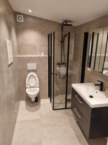 een badkamer met een toilet, een wastafel en een douche bij Apartment mandal 