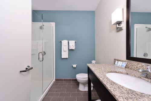 a bathroom with a toilet and a sink and a shower at Sleep Inn & Suites in Meridian