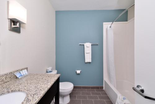 a bathroom with a toilet and a sink and a shower at Sleep Inn & Suites Meridian - Bonita Lakes in Meridian