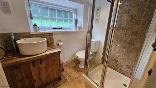 a bathroom with a shower and a sink and a toilet at Bay Cottage in Portloe