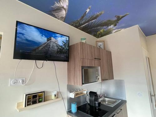 a tv on the wall of a kitchen with a sink at St Bruno - Studio « Palmiers » in Grenoble
