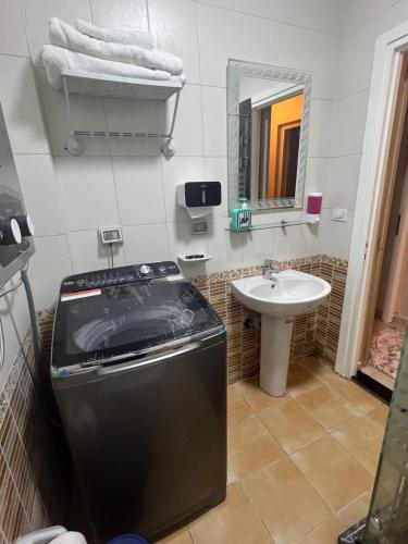 a bathroom with a sink and a washing machine at Luxurious VIP Apartment in Madinaty Furnished with High End Hotel Furniture in Madinaty