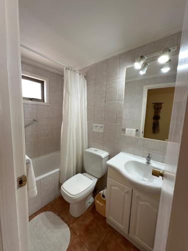 Un baño con un inodoro blanco y un lavabo. en Apart hotel Terra Valdivia, en Valdivia