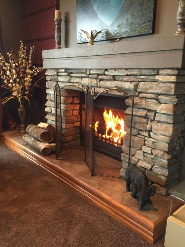 a stone fireplace with a cat sitting in front of it at The Flying Trout Boutique Lodge in Taupo