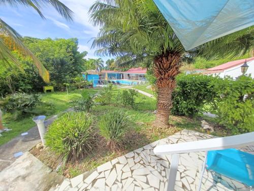 a palm tree in a garden next to a building at La Rose du Bresil Marie-Galante in Capesterre-de-Marie-Galante