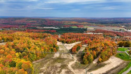 an aerial view of a forest with fall foliage at 370 Disciples Village Condo in Boyne Falls