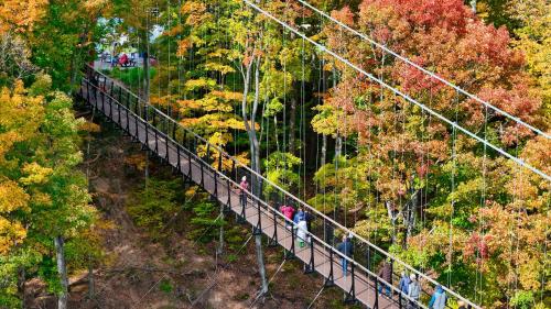 a group of people walking across a suspension bridge at 679 Disciples Village Unit in Boyne Falls