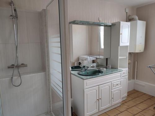 une salle de bain avec un lavabo et une douche dans l'établissement Maison pour 6 personnes, à Lassicourt