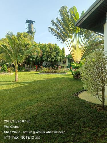 a park with palm trees and a green lawn at BeautyByNature Estate by "Khadija&Family", unique private rooms, homemade dishes in a wonderful setting in Wa