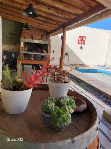 a table with three potted plants on a patio at Alojamiento Casa Malbec in Mendoza