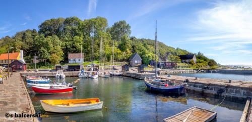 a group of boats are docked in a harbor at The Cherry Apartment - 'Den Gule Svane' Guest House near Rønne & Beach in Rønne