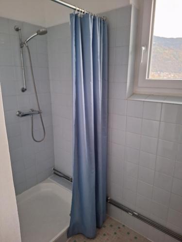 a bathroom with a shower with a blue shower curtain at Apartment in Ossiach in Altossiach