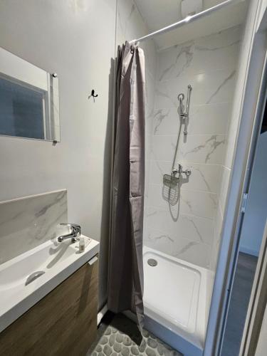 une salle de bain avec douche et lavabo dans l'établissement Agréable studio de 16m2 sans kitchenette, à Neuilly-sur-Marne