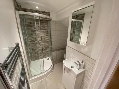 La salle de bains est pourvue de toilettes, d'un lavabo et d'un miroir. dans l'établissement 3 BEDROOMS WITH 2 PARKING SPACES, à Brighton et Hove