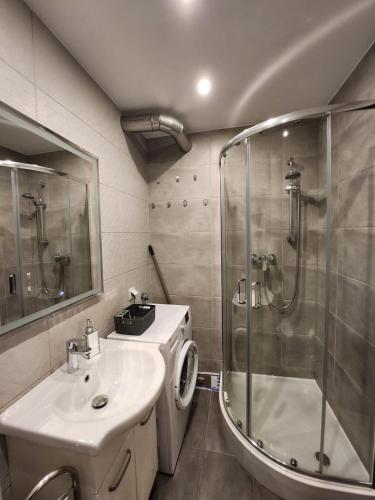 a bathroom with a shower and a sink and a toilet at Słoneczny apartament 2 in Duszniki Zdrój