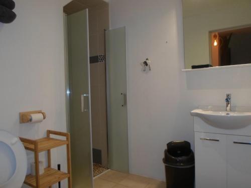 een badkamer met een wastafel, een toilet en een spiegel bij Les Colombes de la Baie du Mont Saint-Michel in Aucey-la-Plaine