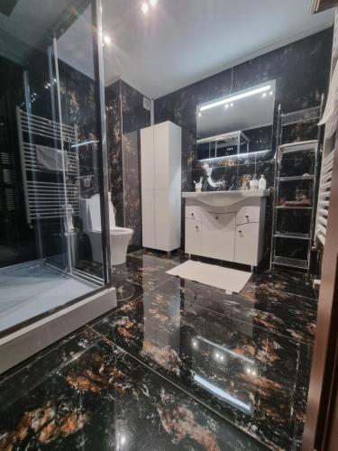 een badkamer met een wastafel, een douche en een toilet bij Casa Petcu in Craiova