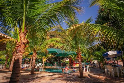 um grupo de palmeiras junto a uma piscina em Caldas Novas - Piazza diRoma incluso acesso ao Acqua Park, Slplash e Slide em Caldas Novas