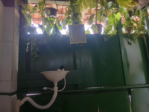 a green wall with a light and a plant at Hostel L B in São Luís