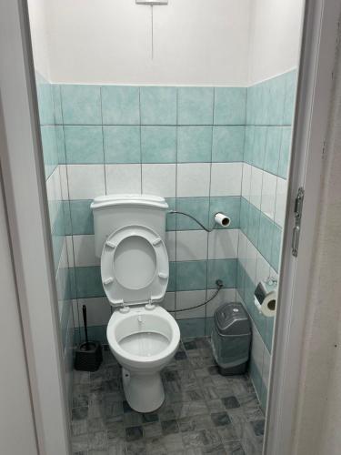 a bathroom with a toilet and a trash can at Guest House BOZVILL in Bozovec