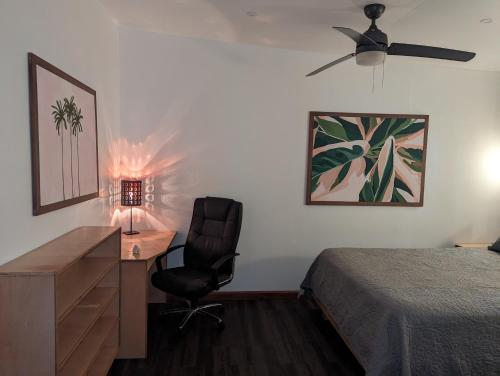 a bedroom with a bed and a desk and a chair at TropicalArts Resort&Studios in Bocas del Toro