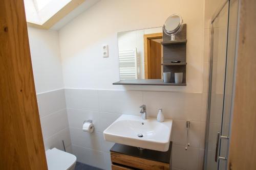 a bathroom with a sink and a mirror at Ramslerhof - Chiemgau Karte in Inzell