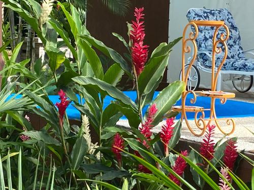 a chair next to a plant with red flowers at Drake Bay River View in Drake