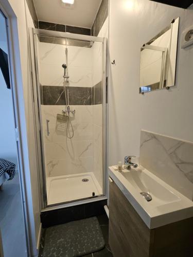 une salle de bain avec douche et lavabo dans l'établissement Charmant studio équipé de 14m2, à Neuilly-sur-Marne