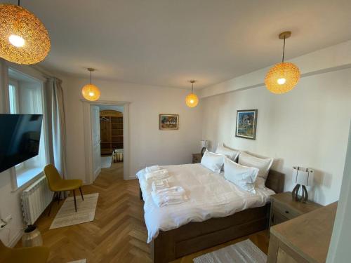 ピアトラ・ネアムツにあるAugsburg Apartのベッドと薄型テレビのある寝室