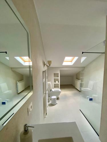 a bathroom with a sink and a toilet and skylights at Augsburg Apart in Piatra Neamţ