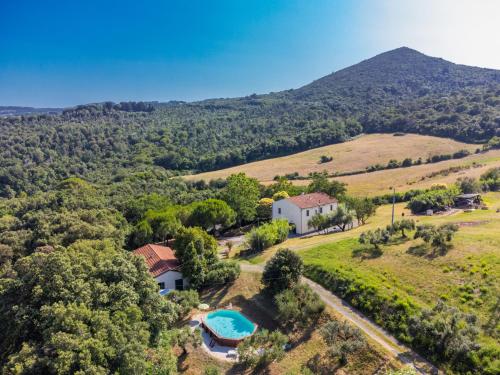 Pemandangan dari udara bagi Holiday Home Podere gli Olivi by Interhome