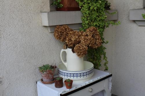 a white vase sitting on top of a table with plants at La Chambre de Marie in Bouxwiller