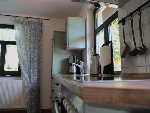 eine Küche mit einer Spüle und einer Arbeitsplatte in der Unterkunft Apartment Gästehaus Alte Schule-4 by Interhome in Dargun