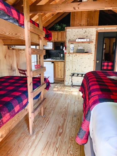 Kuchyň nebo kuchyňský kout v ubytování Lazy Z Resort