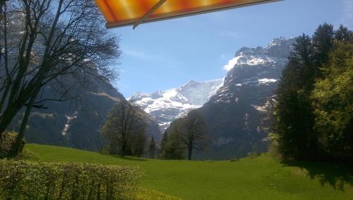 a green field with a mountain in the background at MOM - Alpine Boutique Apartments, Grindelwald gletscher, Eiger View Terrace Studio in Grindelwald