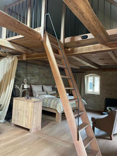 a bedroom with a bunk bed and a ladder at Lark in Schleibnitz