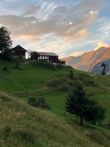 a green hill with houses on top of it at Appartements Max&Moritz in Kaunertal