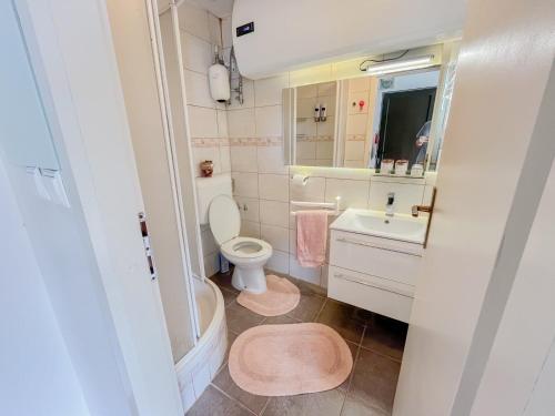 een kleine badkamer met een toilet en een wastafel bij Villy Holiday House Terme Čatež in Čatež ob Savi
